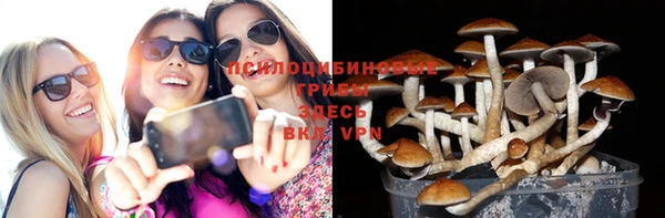 прущий лед Верея