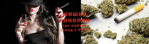 шишки Верхний Тагил