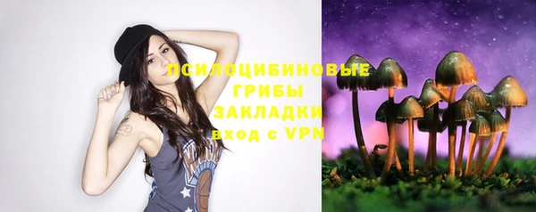 прущий лед Верея