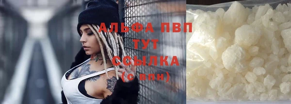 шишки Верхний Тагил