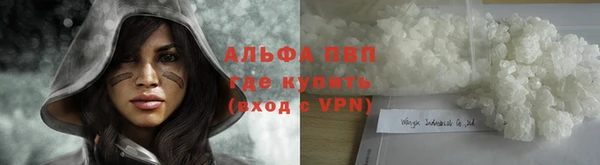 шишки Верхний Тагил