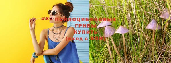 гидра Верхнеуральск