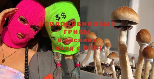 шишки Верхний Тагил